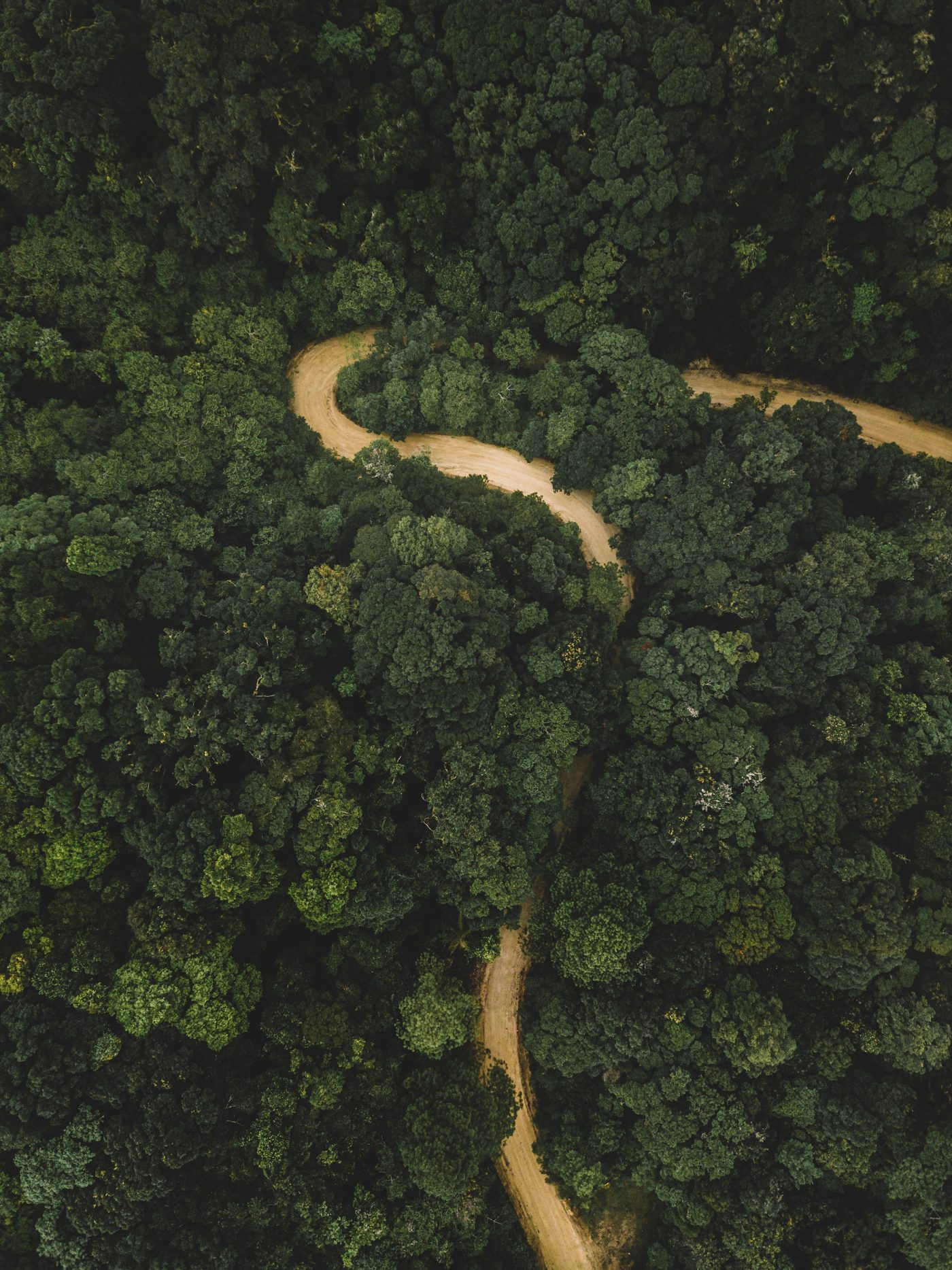 Picture of Honduras Forest scape from above with a winding dirt road